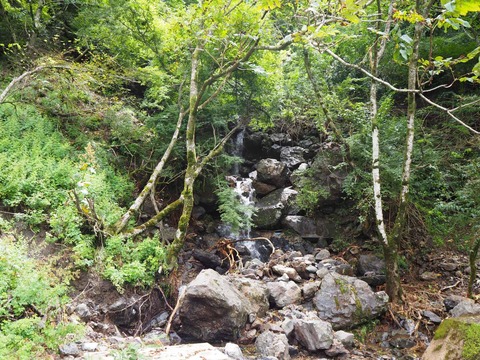 20210822karatani (4)