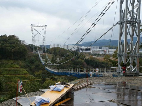 20241124吊り橋 (7)