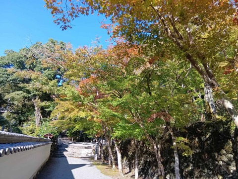 20251029神峯山寺 (9)