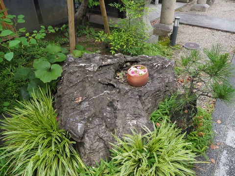 20220716野見神社 (2)