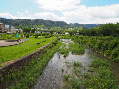 20220729島本大山崎 (28)