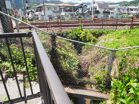 20220729島本大山崎 (3)