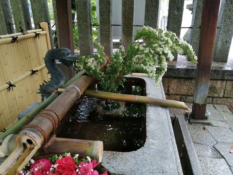 20220424野見神社 (5)