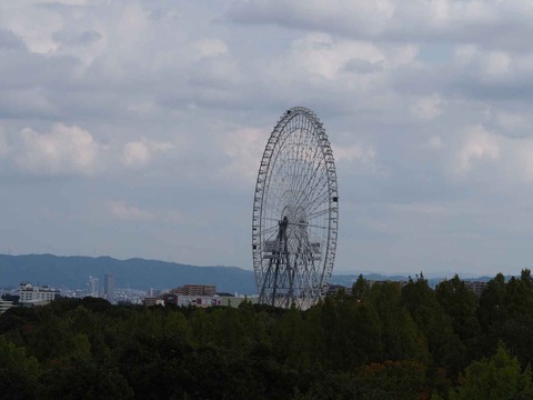 20221022万博記念公園 (69)