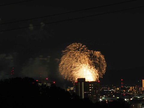 20230917水都くらわんか (43)