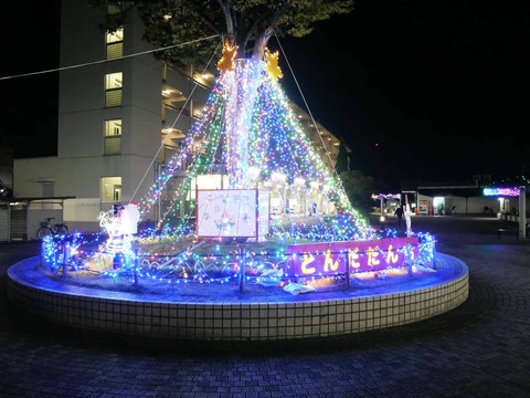 20241118富田団地イルミ (3)