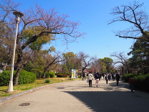 20230319大阪城公園 (11)