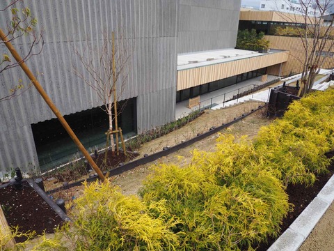 20230318高槻城芸術文化劇場 (2)