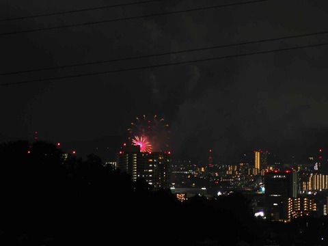20220904くらわんか花火 (254)