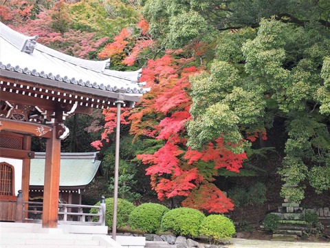 20221124一乗寺 (3)