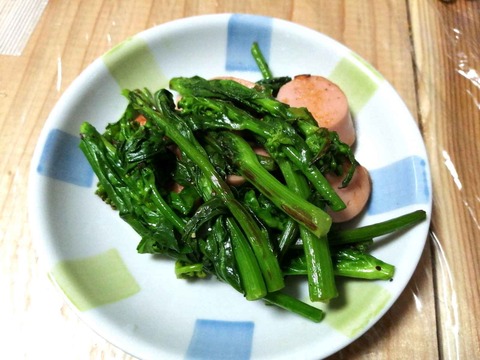 20240223のらぼうなな (6)