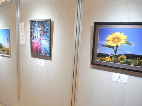 20240921高槻市美術展 (53)