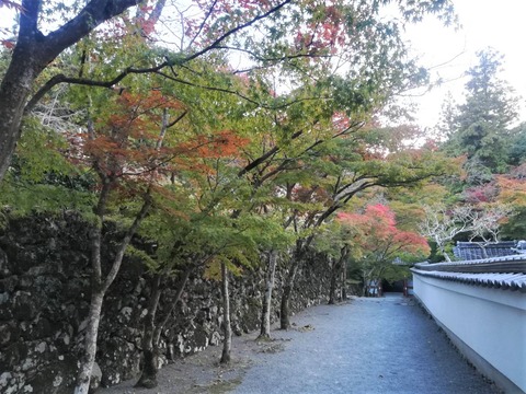 20221031神峰山寺 (2)