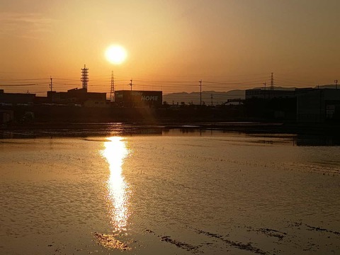 20250605夕日西面 (4)