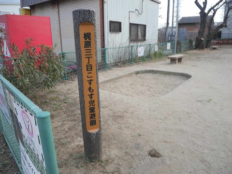 20260121上牧コスモス公園 (6)