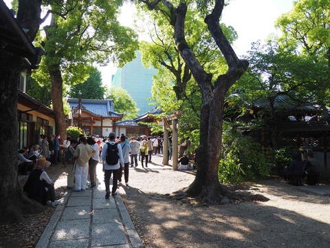 20240503高槻富田ジャズ (30)