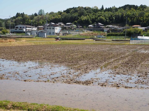 20230422田植え準備 (3)