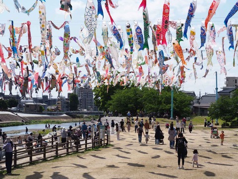 20230502こいのぼり (7)