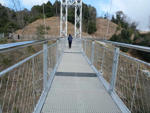 20250317吊り橋 (126)