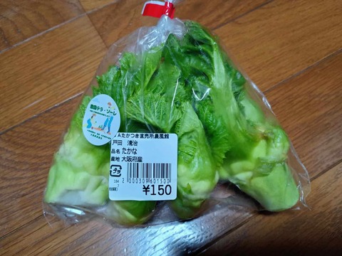 20240211たかな (1)