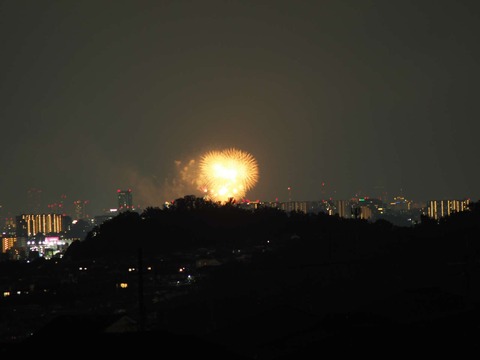 20220827なにわ淀川花火 (116)