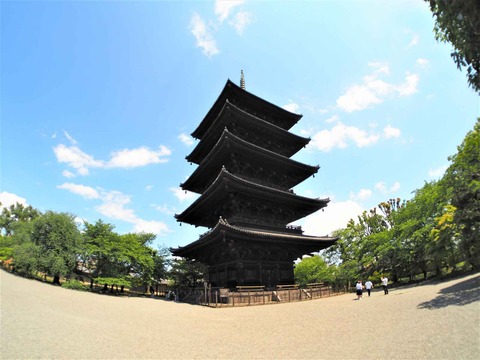 20230616東寺 (20)
