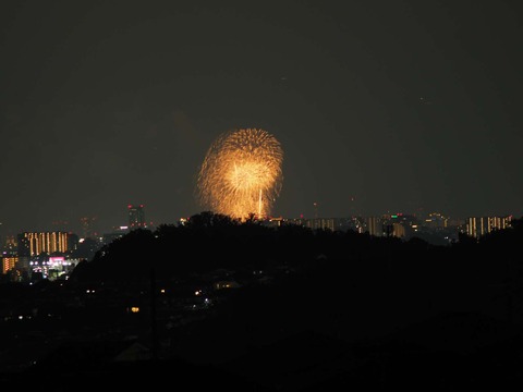 20220827なにわ淀川花火 (181)