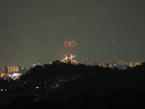 20220827なにわ淀川花火 (43)