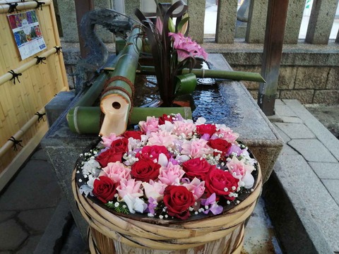 20211212野見神社 (2)