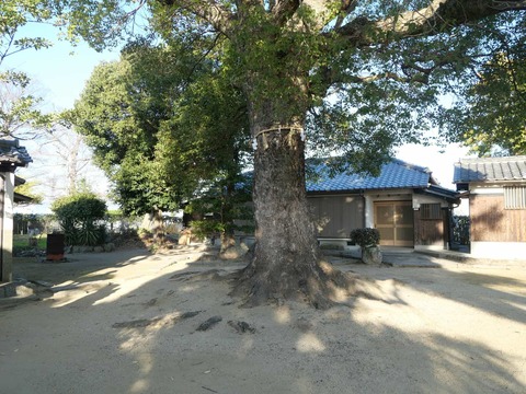 20250102郡家素戔嗚尊神社 (14)