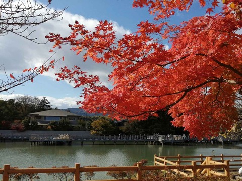 20211123長岡天神 (1)