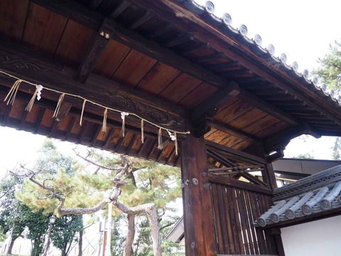 20240224茨木神社 (14)