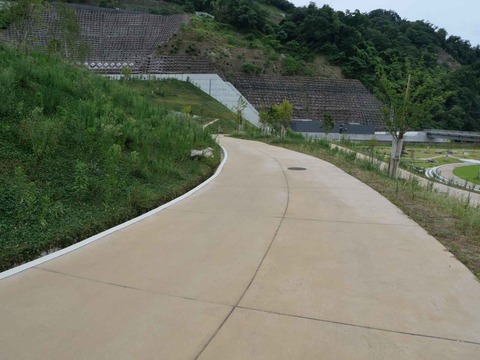 20240819安威川ダム (65)