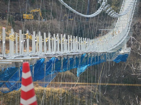 20250206吊り橋 (29)