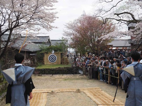 20240407大蛇祭り (101)