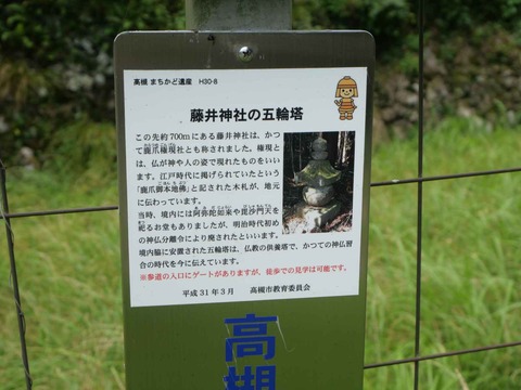 20240727樫田 (58)