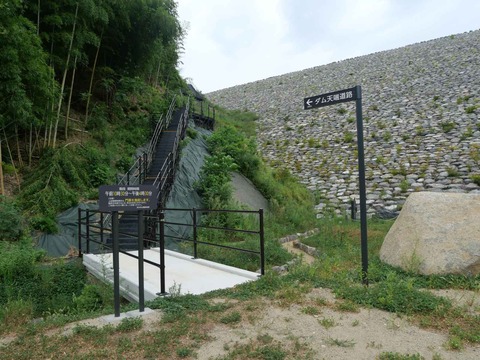 20240819安威川ダム (59)
