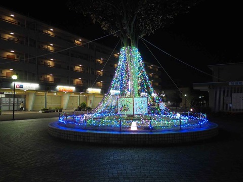 20221128牧田町 (4)