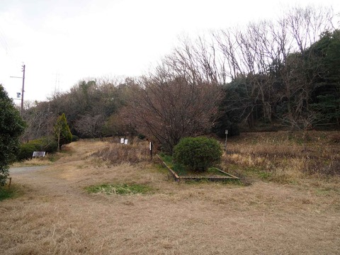 20220129西の川原梅 (2)