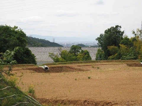 20230527いばきた (3)