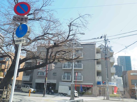 20220320桜笠松地蔵