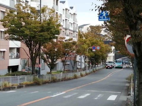 202110紅葉 (8)