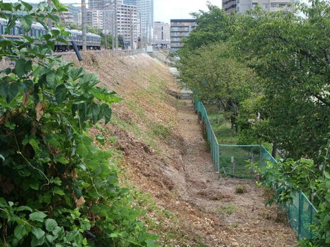20240817芥川鉄橋 (33)
