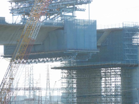 20250927新名神国道堤防 (53)