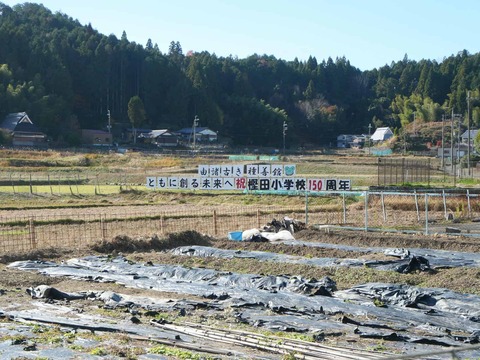 20241207府道6号紅葉 (33)