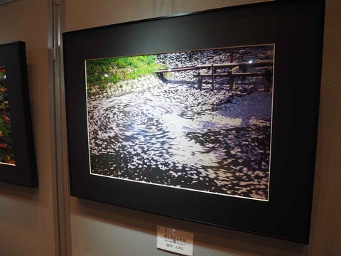 20230917美術展 (15)
