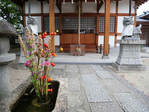 20241022野見神社 (17)