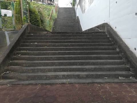 20230712階段真上 (5)