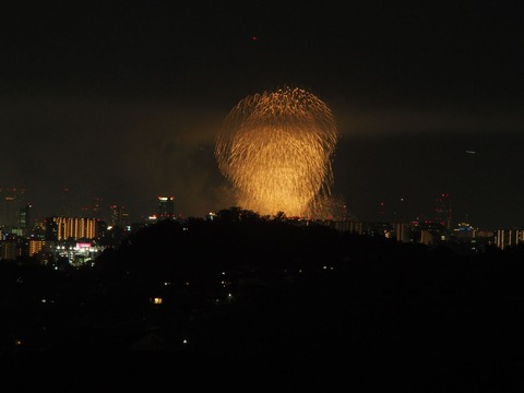 20230805淀川花火 (26)