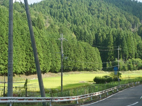 20260901樫田中畑 (33)